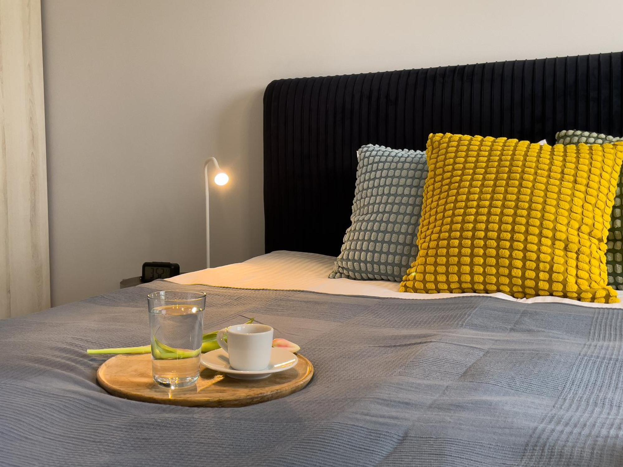 Urban Apartments Premium Baildona No 11 Free Garage, Self Check-In カトヴィツェ エクステリア 写真